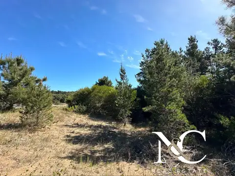 Terreno en Venta 20  mts Frente