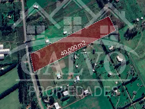 Terreno 4HA sobre Ruta 41. Mercedes, Buenos Aires.