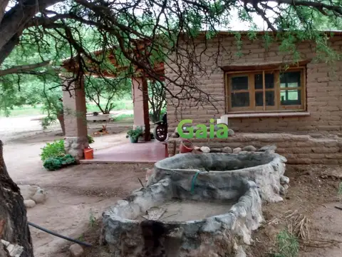 Ruta 40 - San Carlos