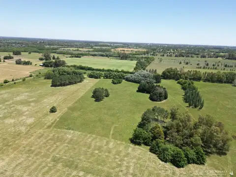 CAMPO EN PILAR 100