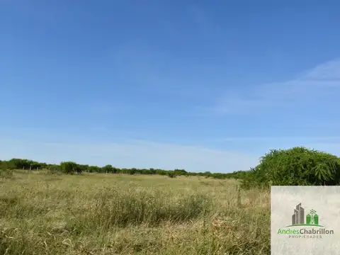 Ruta Provincial 22 km 80, Chañar , Federal, Entre Ríos, 100