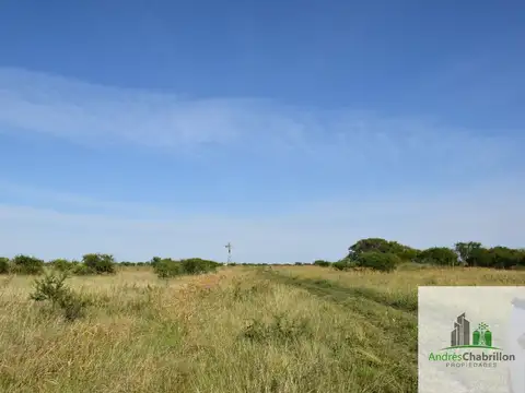 Campo en alquiler de 1500ha ubicado en Federal