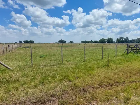 Excelente Terreno de 2000 m2 a la venta en Uribelarrea - Cañuelas