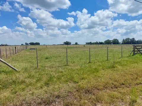 Valeria del Crotto s/n