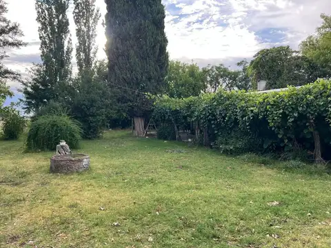 venta finca en produccion chapanay