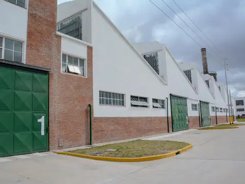 Galpon en Alquiler A Estrenar