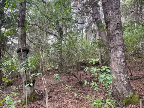 VENTA LOTE CON MEJORAS 1400 M2 PLANO SOLEADO ÚNICO