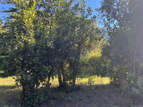 Terreno en Venta de 1473,0 m2