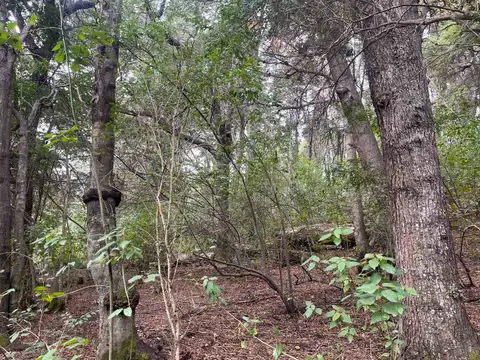 Terreno en Venta en San Carlos De Bariloche, USD 60.000