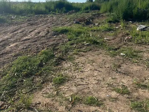 Venta campo 7.917  m2 en Las Toscas Loma Verde. Escobar