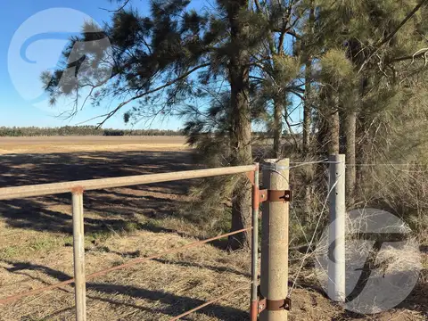 Campo en Venta en San Pedro - 100% agrícola - Excelente ubicación - U$S11.000/Ha