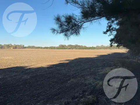 Campo en Venta en San Pedro - 100% agrícola - Excelente ubicación - U$S11.000/Ha