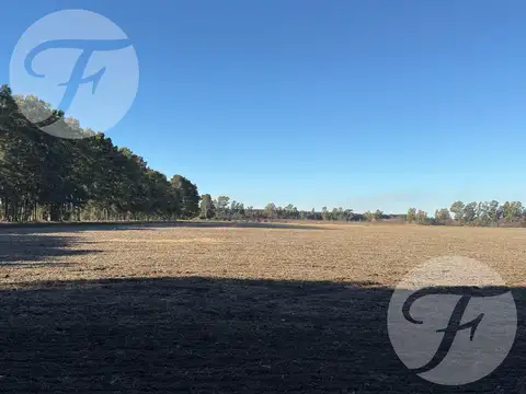 2.000 metros de las rutas de acceso 1001 y 191