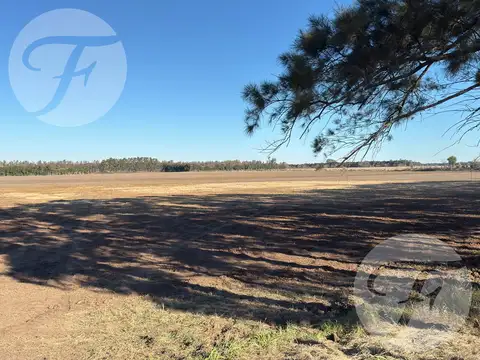 Campo en Venta en San Pedro - 100% agrícola - Excelente ubicación - U$S11.000/Ha