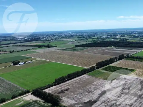Campo en Venta en San Pedro - 100% agrícola - Excelente ubicación - U$S11.000/Ha