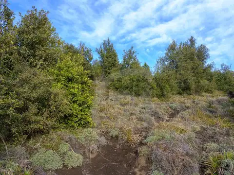 VENTA TERRENO  SAN MARTIN DE LOS ANDES.  KALEUCHE ALTO