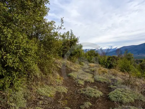 Terreno en Venta de 1000,0 m2