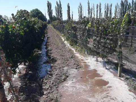 Quinta en Venta en Cuadro Nacional, USD 159.000