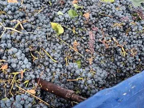 Quinta en Venta en Cuadro Nacional, USD 159.000