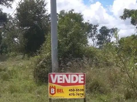 Juan Manuel de Rosas