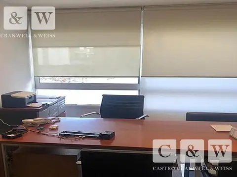 Carlos Pellegrini al 1100