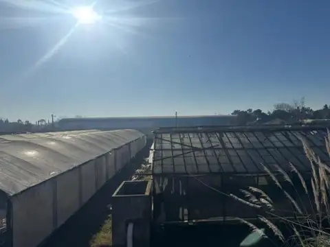 Terreno en Venta de 10000,0 m2