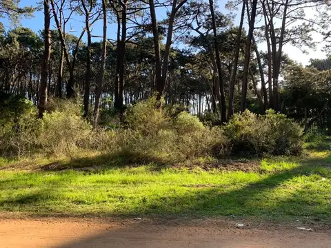 Lote - Venta - Uruguay, Punta del Este