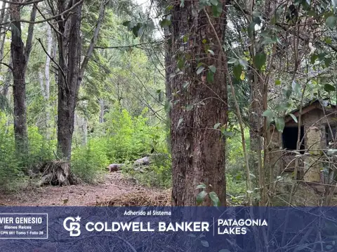 VENTA Lote | Terreno 3000m2 UF 12 Villa La Angostura Acceso al lago