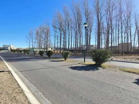 Terreno en Venta de 1197,0 m2