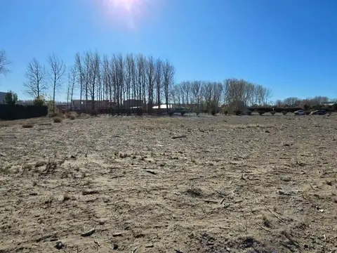 Canales de Plottier, UF 600