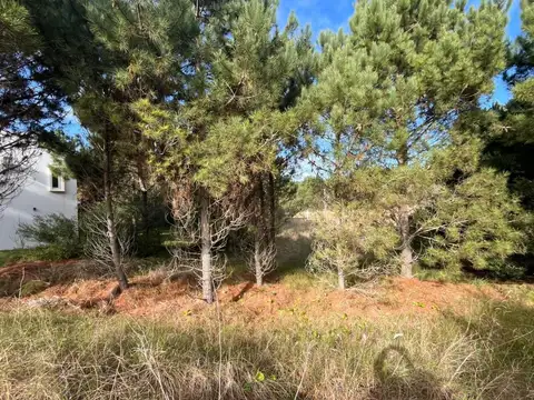 Terreno en Venta de 1072,0 m2