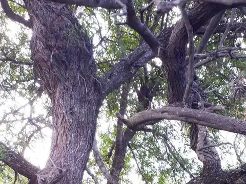 Terreno en Venta de 5000,0 m2