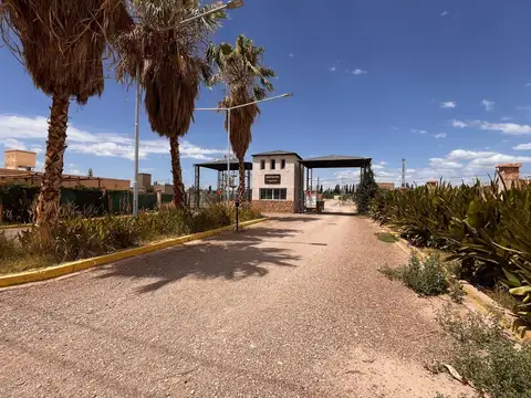 Bruno Morón S/N - Distrito Alto Coquimbito - Maipú