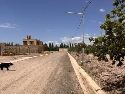 Bruno Morón S/N - Distrito Alto Coquimbito - Maipú