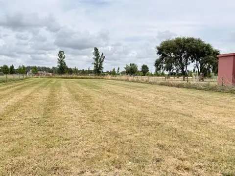 ¡Sumérgete en el apasionante mundo de La Federala! Terreno de 1200 alambrado !