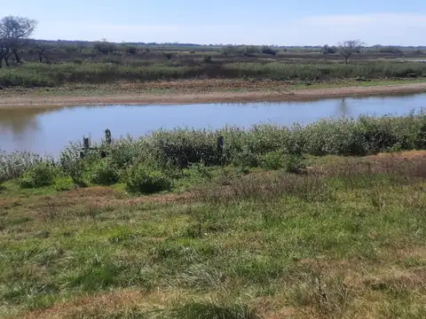 VENDO 7 HECTAREAS AGRICOLAS CAMPO DEL MEDIO (PROXIMA A CAYASTA) S UTILIZA COMO QUINTA PARA ZANAHORIA
