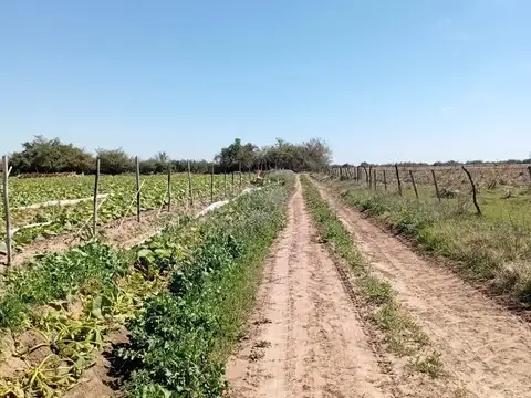 Campo en Venta Agricola