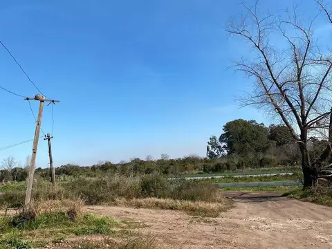 Campo (km49,5 altura instituto fleni)  50ha asfalto hasta la entrada