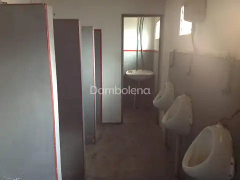 Colectora Norte Acceso Oeste 100