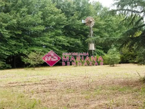 Camino Villa Jardin 1000