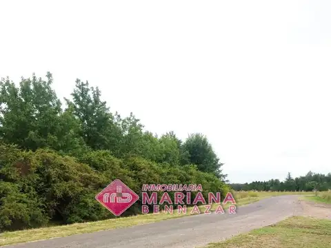 Camino Villa Jardin 1000