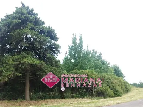 Terreno en Venta de 3053,0 m2