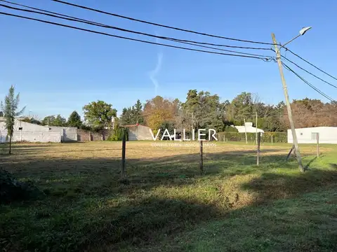 TERRENO VALENTIN GOMEZ 100