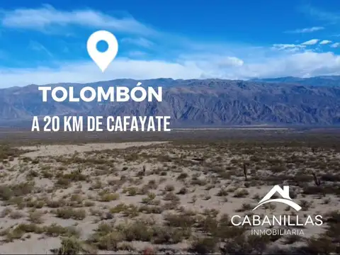TOLOMBÓN - CAFAYATE - SALTA