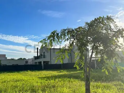 Terreno en Venta 33  mts Fondo