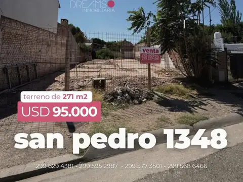 Terreno - Venta - Argentina, Confluencia - San Pedro 1348