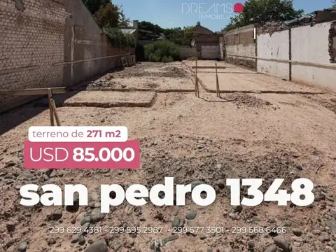 Terreno - Venta - Argentina, Confluencia - San Pedro 1348