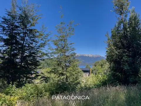 Terreno en Venta 41  mts Fondo