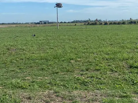 Terreno en Venta 10  mts Fondo