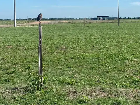 Terreno en Venta de 805,0 m2